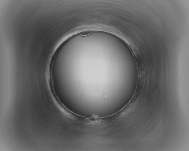 X0000111431523200907201058