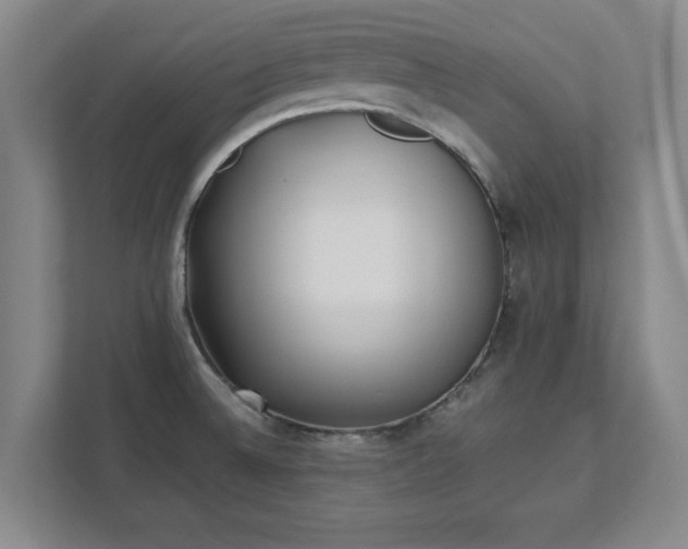 X0000111431524200907201058