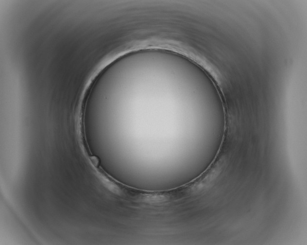 X0000111431525200907201058