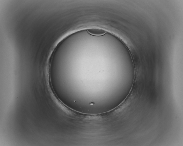 X0000111431526200907201058