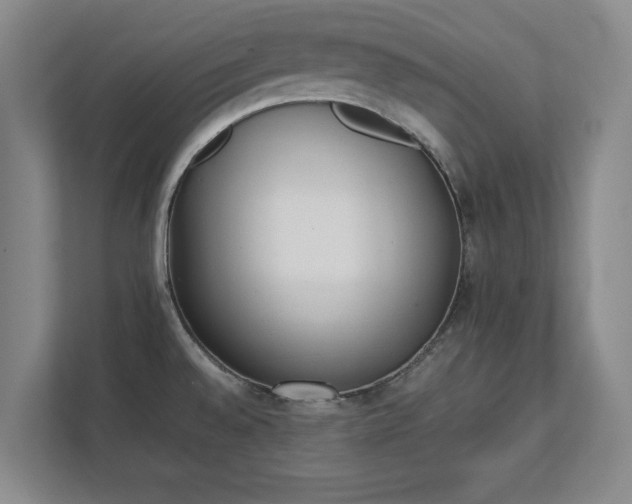 X0000111431528200907201058