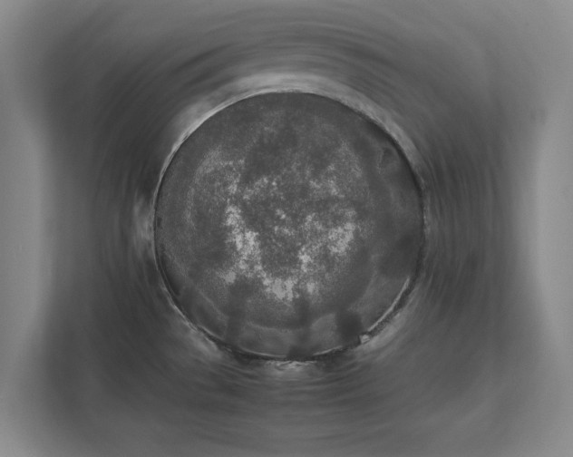 X0000111431529200907201058