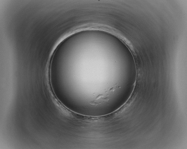 X0000111431530200907201058