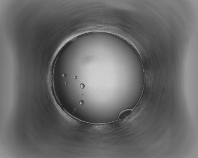 X0000111431531200907201058