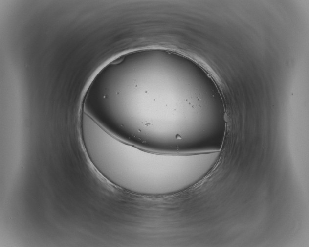 X0000111431532200907201058