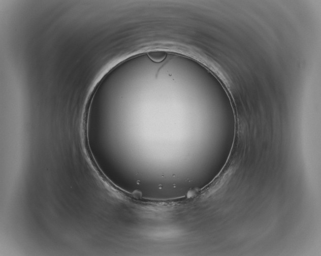 X0000111431533200907201058