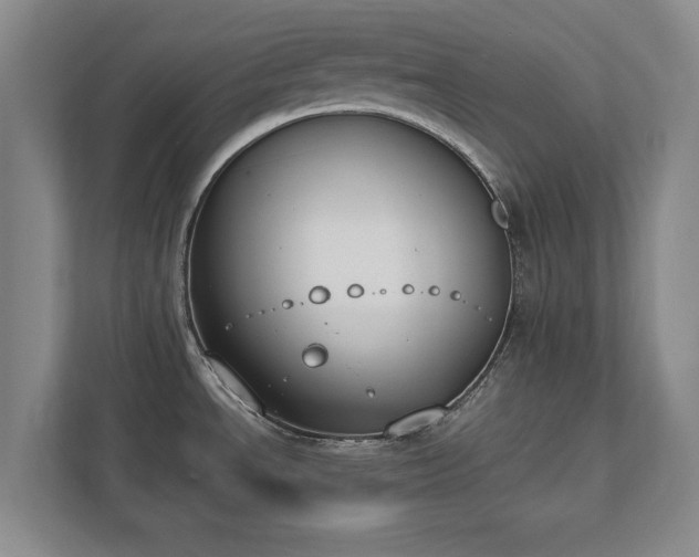 X0000111431534200907201058