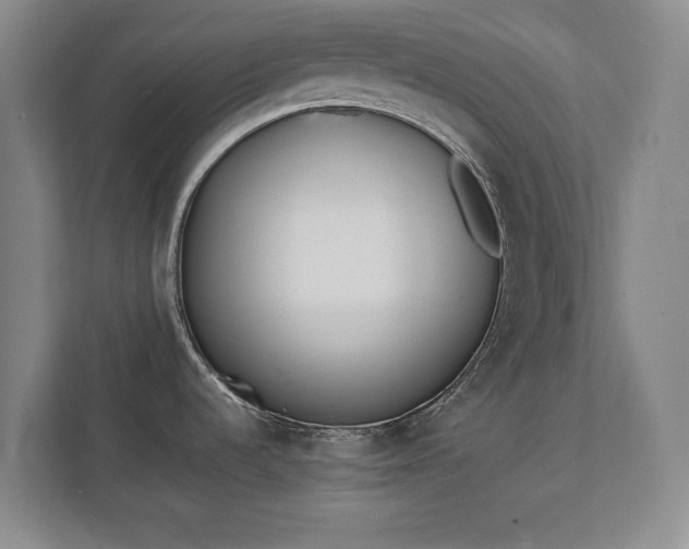 X0000111431536200907201058