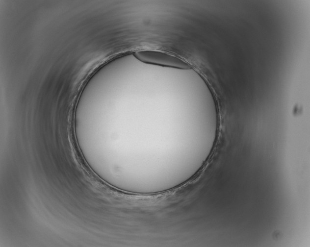 X0000111430001200907271116