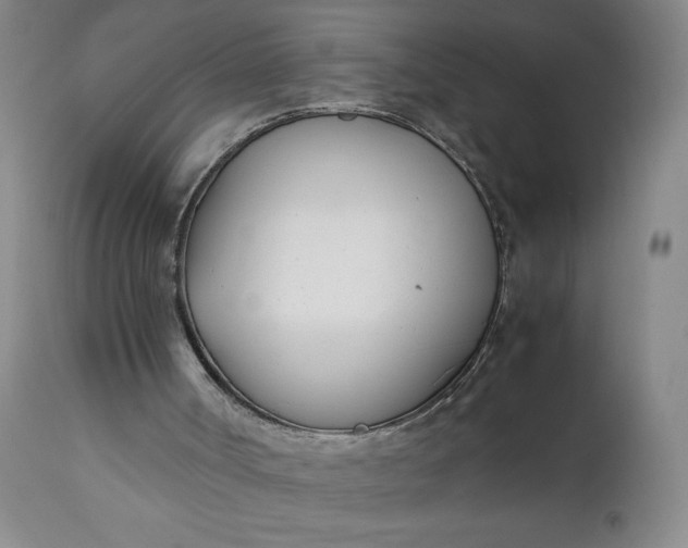 X0000111430002200907271116