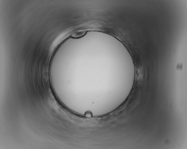 X0000111430004200907271116