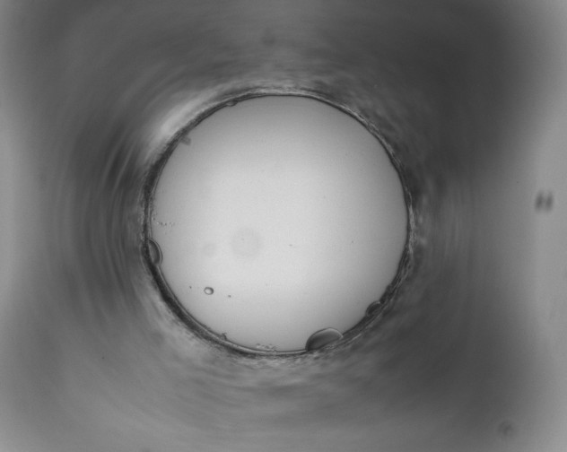 X0000111430005200907271116