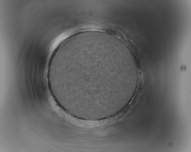 X0000111430006200907271116