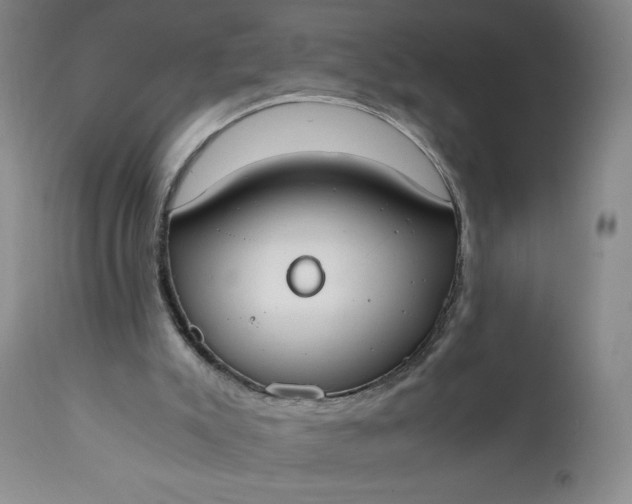 X0000111430007200907271116