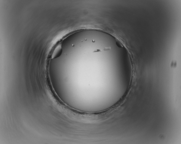 X0000111430008200907271116