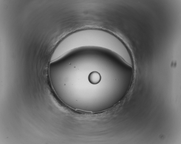 X0000111430009200907271116