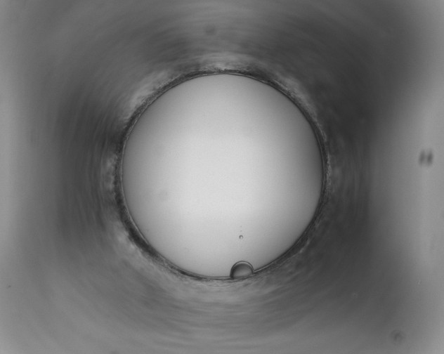 X0000111430010200907271116