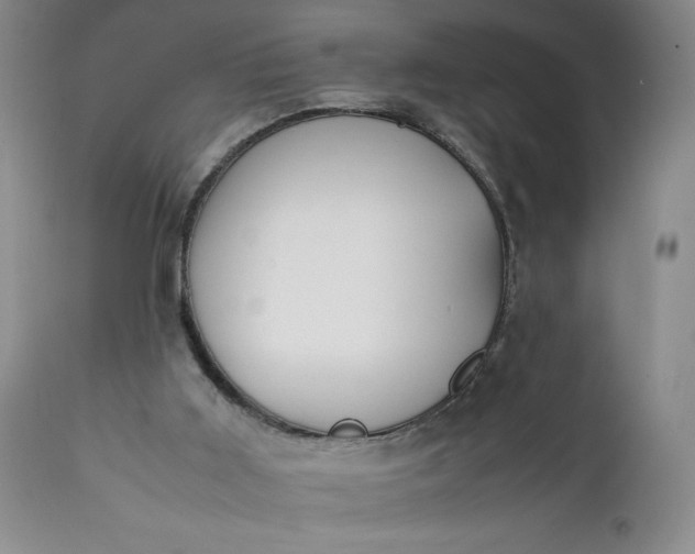 X0000111430011200907271116