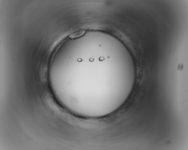 X0000111430012200907271116