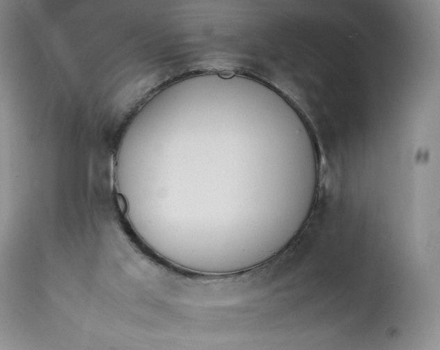 X0000111430013200907271116