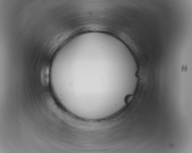 X0000111430014200907271116