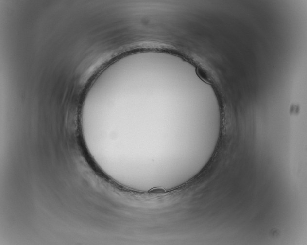 X0000111430015200907271116