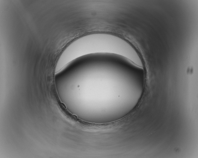 X0000111430017200907271116