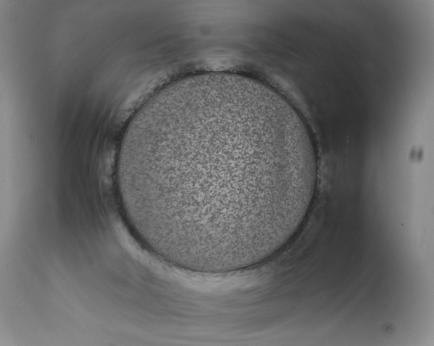 X0000111430018200907271116