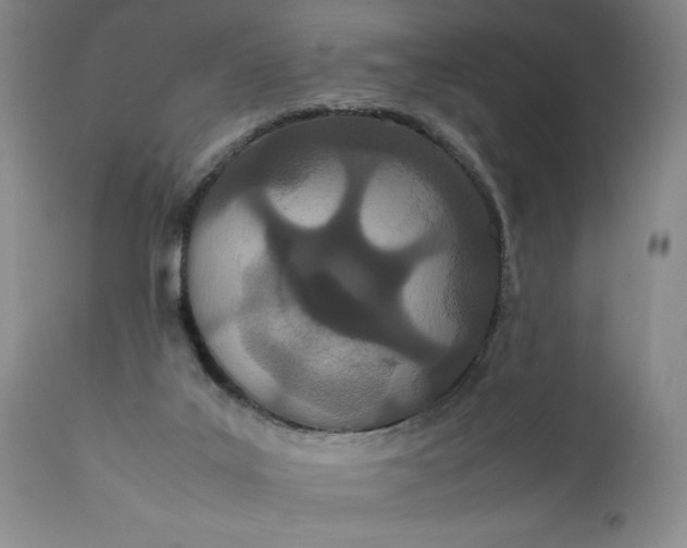 X0000111430019200907271116