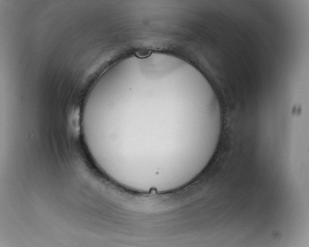 X0000111430020200907271116