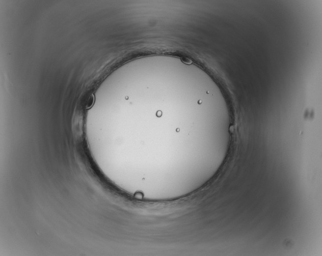 X0000111430021200907271116