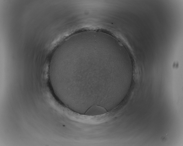 X0000111430023200907271116