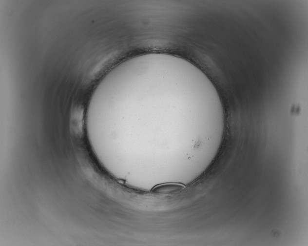 X0000111430024200907271116