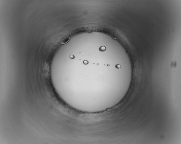 X0000111430025200907271116