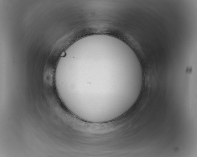 X0000111430026200907271116