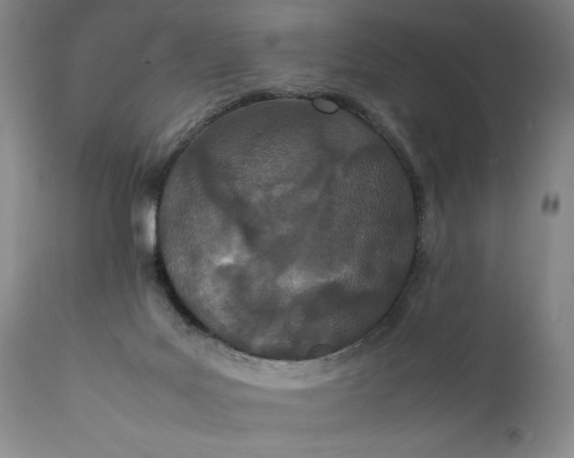 X0000111430027200907271116