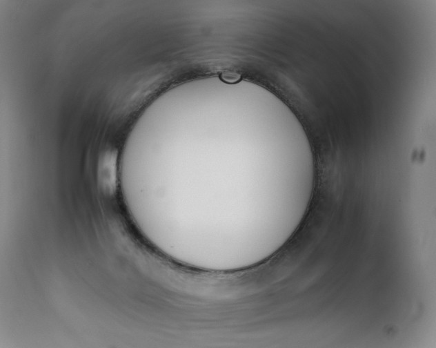 X0000111430028200907271116