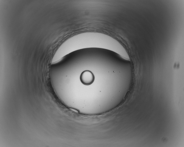 X0000111430029200907271116