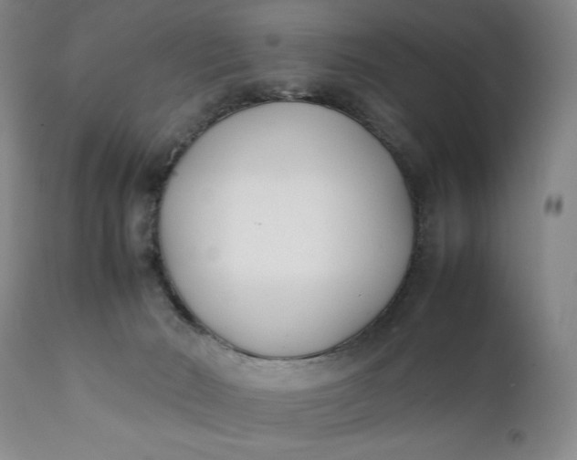 X0000111430030200907271116