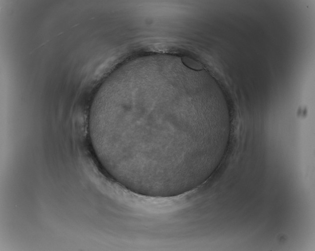 X0000111430031200907271116