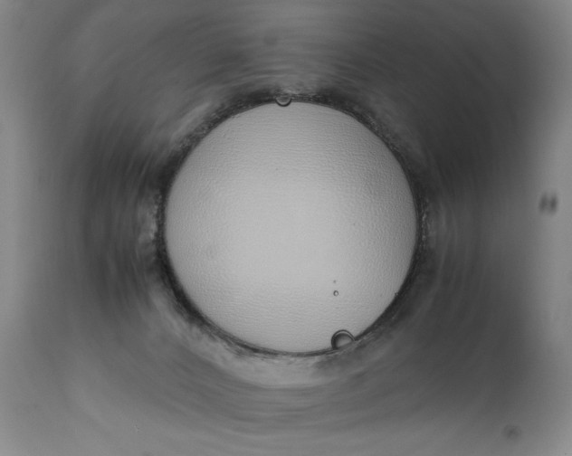 X0000111430032200907271116