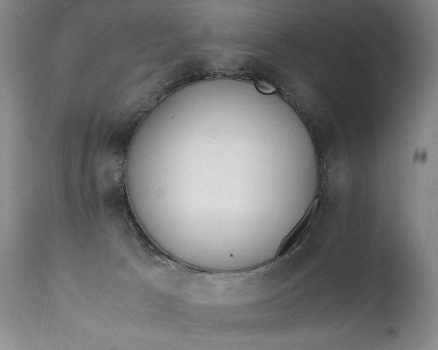 X0000111430033200907271116