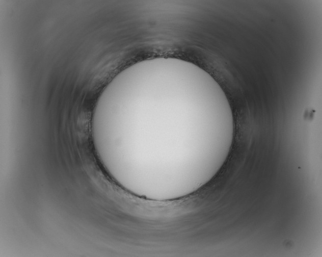 X0000111430034200907271116