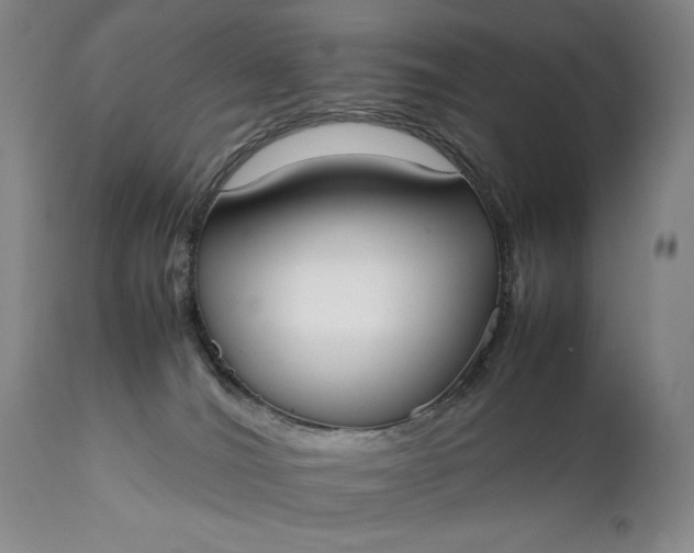 X0000111430036200907271116