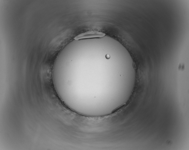 X0000111430037200907271116