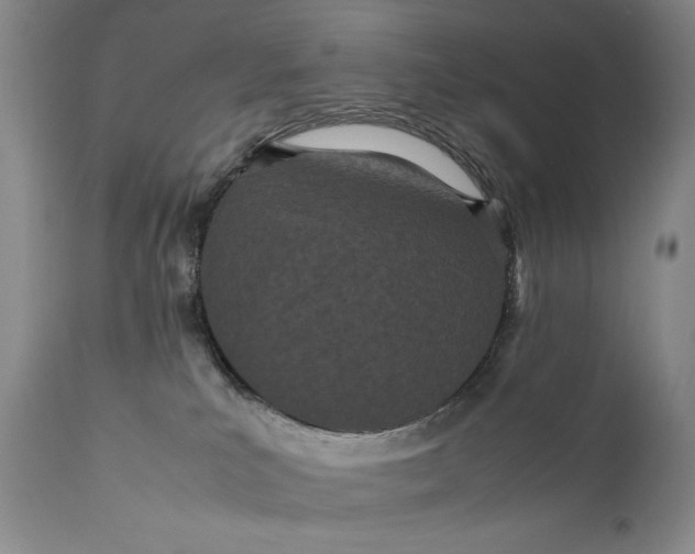 X0000111430039200907271116