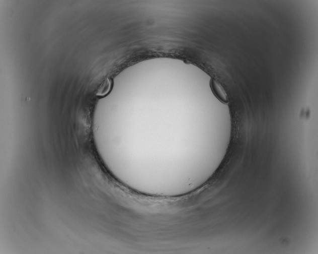 X0000111430040200907271116