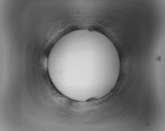 X0000111430041200907271116