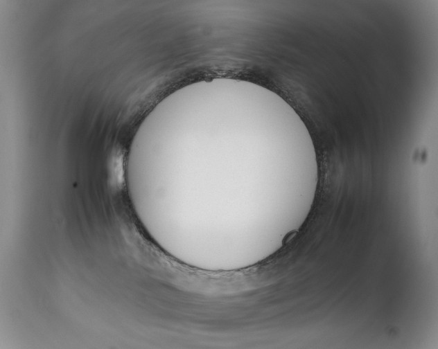 X0000111430042200907271116