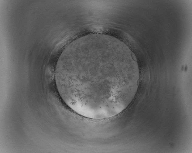 X0000111430043200907271116